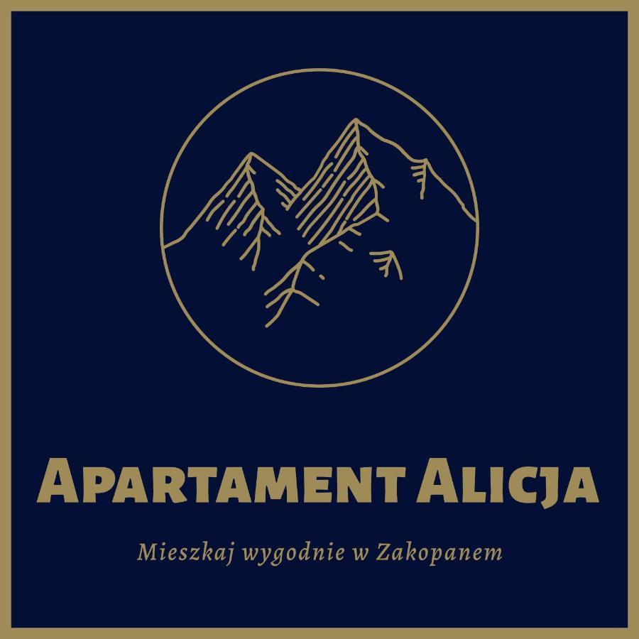 זקופאנה Apartament Alicja, Scisle Centrum, Orkana 3 מראה חיצוני תמונה